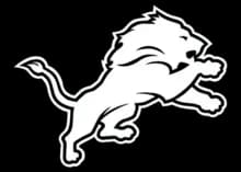 Detroit Lions