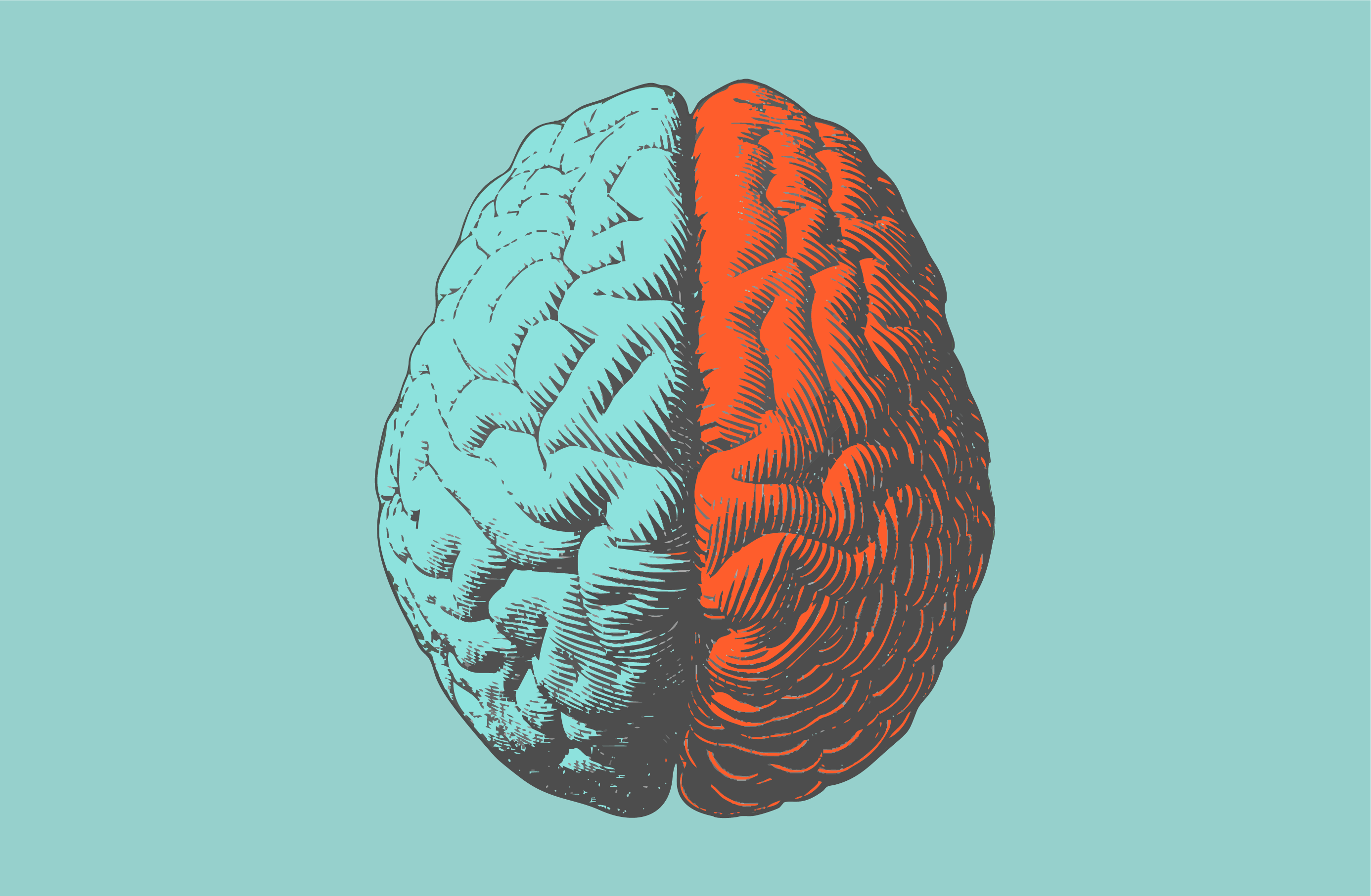 Illustration of a human brain divided into teal and orange halves